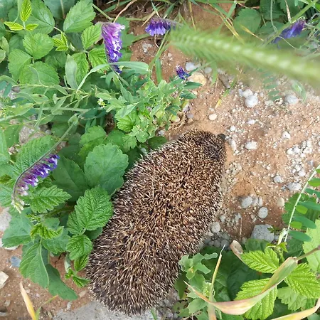 Aparthotel Casa Don Lucio