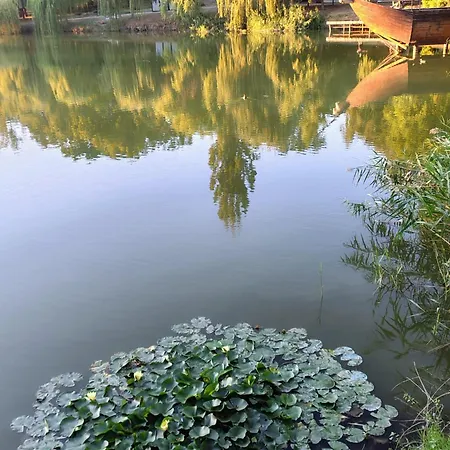 Casa Don Lucio Craiova