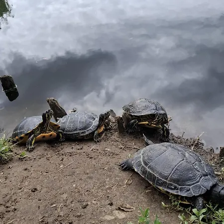 Aparthotel Casa Don Lucio 3*