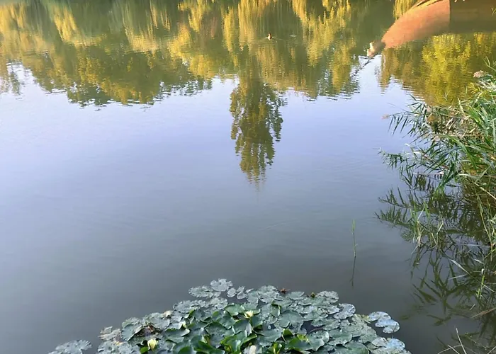 Casa Don Lucio Craiova